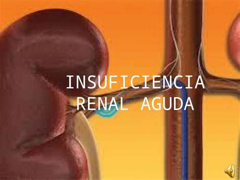 PPTX Insuficiencia Renal Aguda DOKUMEN TIPS