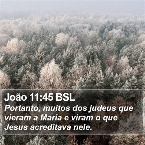 João 11 45 BSL Portanto muitos dos judeus que vieram a Maria e