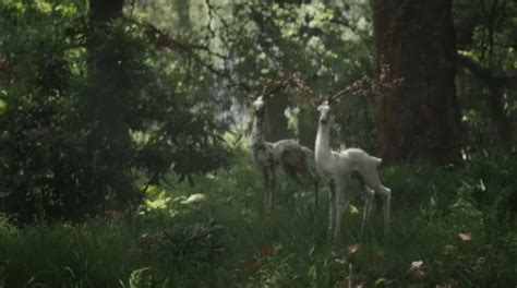 Deer Walk Away GIF - Deer Walk Away Hop - Discover & Share GIFs ...