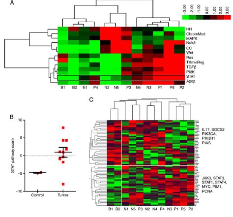 Figure 2 From JAK3 STAT3 Oncogenic Pathway And PRDM1 Expression