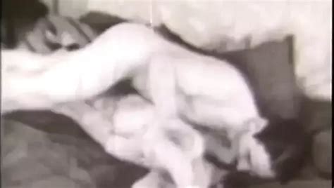 Mondo Porn Videos Xhamster