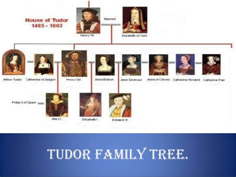 Tudor Family Tree Diagram