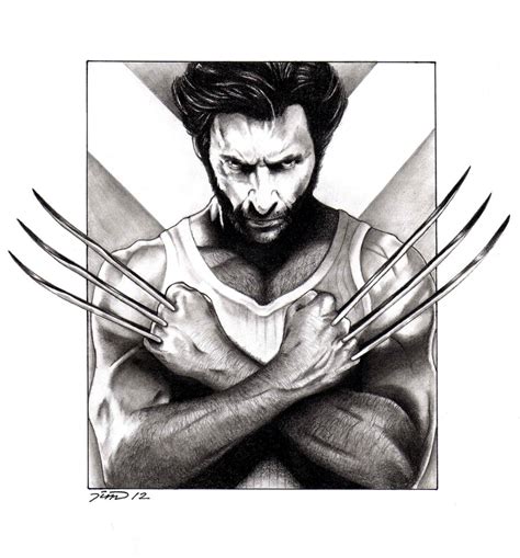 Wolverine Pencil Drawing At Explore Collection Of