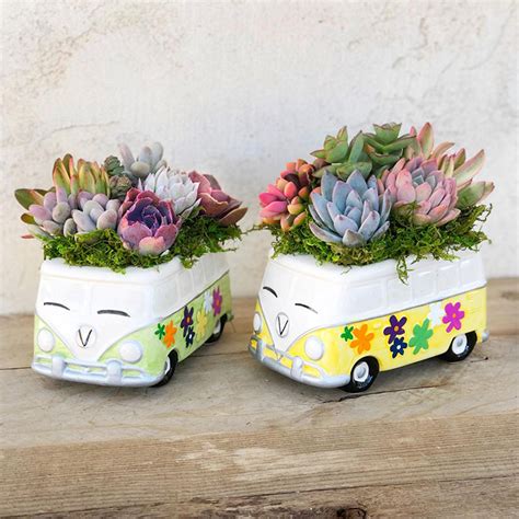 These Volkswagen Bus Succulent Planters Have A Hippie Vibe To Them