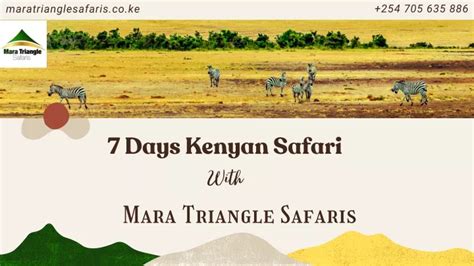 PPT - 7 Days Kenyan Safari - Mara Triangle Safari PowerPoint ...