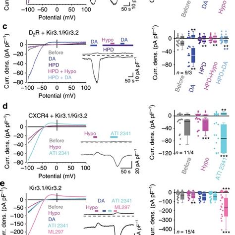 Model Of Mechanically Induced Gpcr Activation Mechanosensation Of Gpcrs