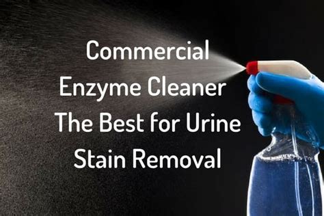 Commercial Enzyme Cleaner The Best For Urine Stain Removal Xion Lab