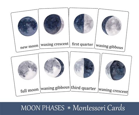 Moon Phases Flash Cards Montessori Three Part Cards Etsy España