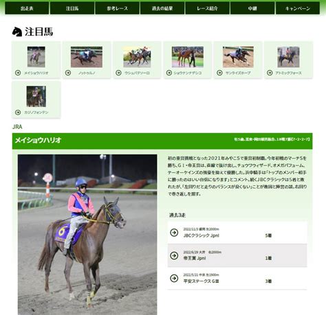 競馬専門サイト「馬トク」で「第68回東京大賞典」の特設ページ開設【スポーツ報知】 スポーツマニア