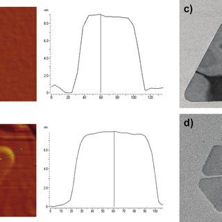 A AFM Image And Height Profile Of A Typical TSNP Of Thickness 9 Nm