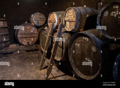 Aging Process Of Cognac Spirit In Old Dark French Oak Barrels In Cellar