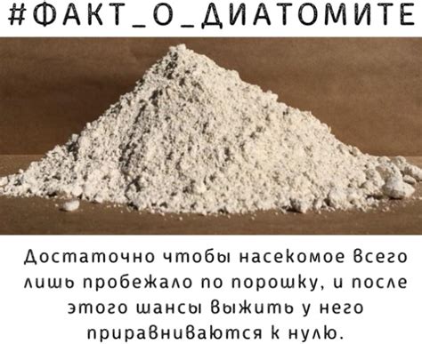 Диатомит садовый свойства и применение цена отзывы