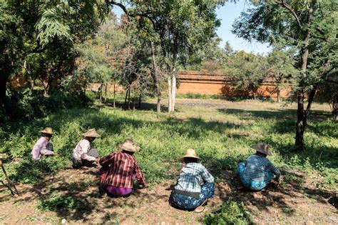 Birmanie - jour 13 : Bagan - plaine centrale et artisans de la laque