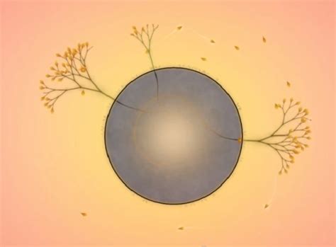 Eufloria for Android, a Relaxing Strategy Game Full of Beauty – Droid Life