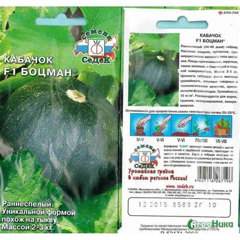 Семена кабачков: лучшие сорта для открытого грунта — 50 лучших сортов ...