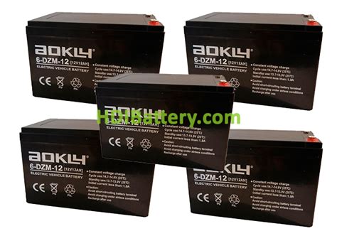 Kit de 5 Baterías AGM AOKLY POWER 6DZM12 60 Voltios 12 Amperios