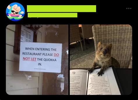 Best R Fuckyouinparticular Images On Pholder Fuck Off Craig