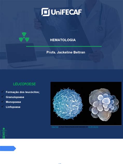 O Que Fazer Para Aumentar Os Leucócitos - Formação e Tipos de Leucócitos | PDF | Glóbulo branco | Linfócito