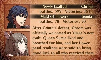 Fire Emblem Ramblings: Fire Emblem Awakening- My Pairings