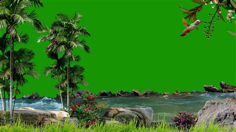 River Green Screen Nature Green Screen Green Screen Effects Jungle Green Screen Background