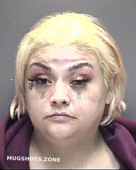 Garcia Veronica Juanita Galveston County Mugshots Zone