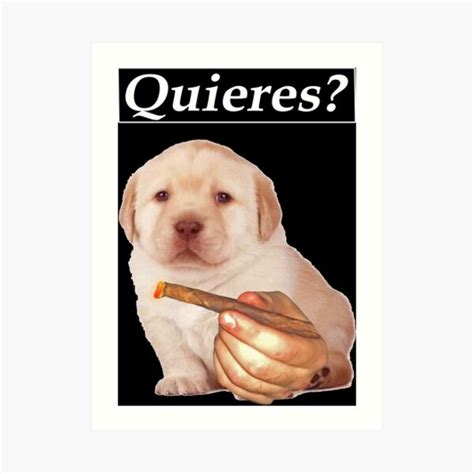 "Cute Golden Retriever puppy Quieres meme- funny meme- " Art Print for ...