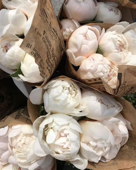 Пин от пользователя LARISA🎬 на доске Bouquet | Пионы, Цветы, Флористы