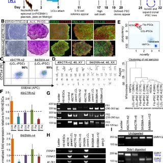 Generation And Characterization Of Lcl Ipscs A Schematic Depicting