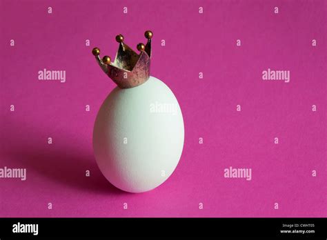 Eggcrown Stock Photo Alamy