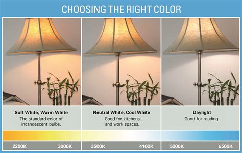 Different Types Of Light Bulb Colors • Bulbs Ideas