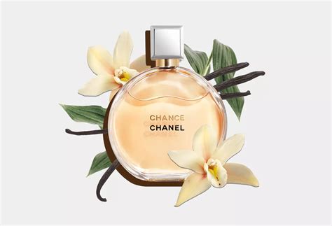 Best Long-Lasting Perfumes Under $50 - Hunter Games Magazine