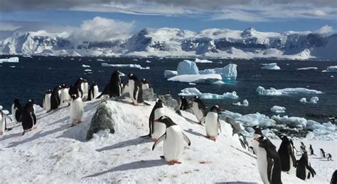 60 Interesting Facts About Antarctica - The Fact Site