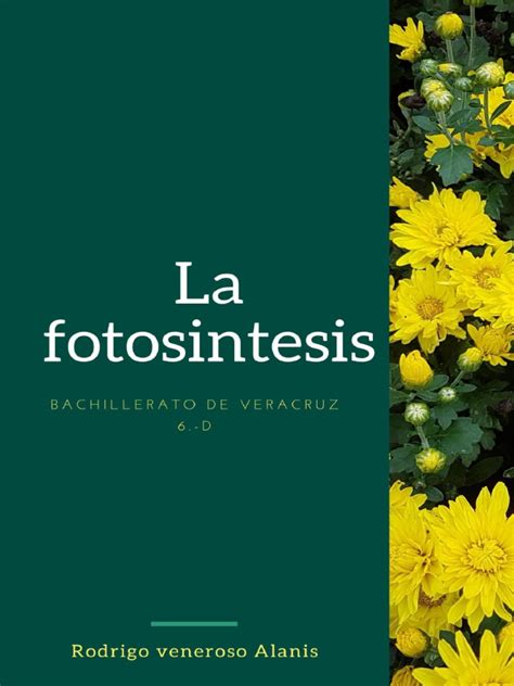 Fotosintesis | PDF | Fotosíntesis | Plantas 