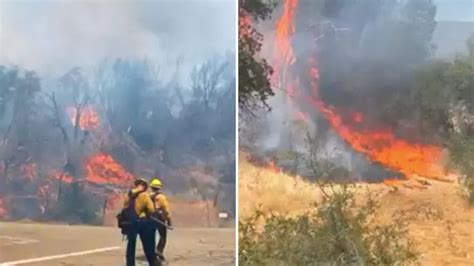 Agua Fire Incendio Forestal Provocado Por Un Fuerte Choque Consume Dos