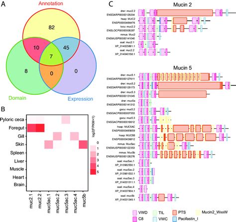 Identification Of Seven Putative Mucin Genes With Annotation Download Scientific Diagram