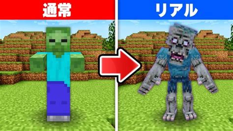 【マイクラ】超リアルなmobがいる世界でエンドラ討伐！ Minecraft Summary マイクラ動画