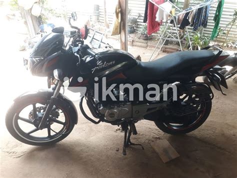 Bajaj Pulsar 150 1998 For Sale In Trincomalee City Ikman