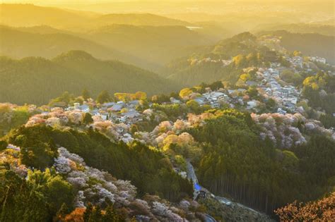 Mount Yoshino Gaijinpot Travel