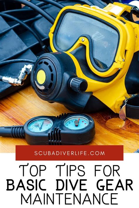 Top Tips for Basic Dive Gear Maintenance • Scuba Diver Life | Diving ...