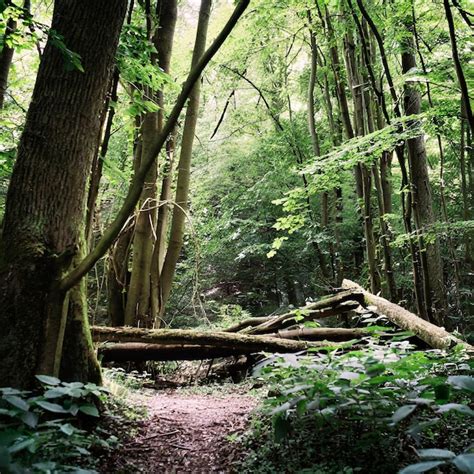 Inside Jodyn Woods House: Unveiled Secrets of This Mysterious Retreat - Veja Store Site