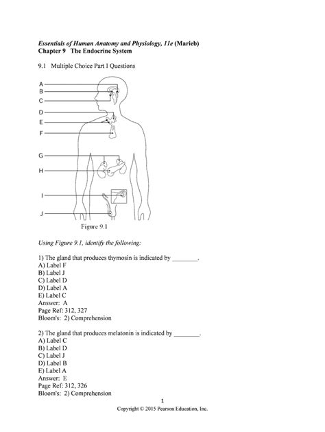 Chapter 9 The Endocrine System Answer Key Pdf Fill Online Printable