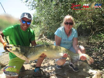 PESCA CON GUÍA DEL SILURO AL LANCE Y PELLETS EN MEQUINENZA Y RÍO EBRO