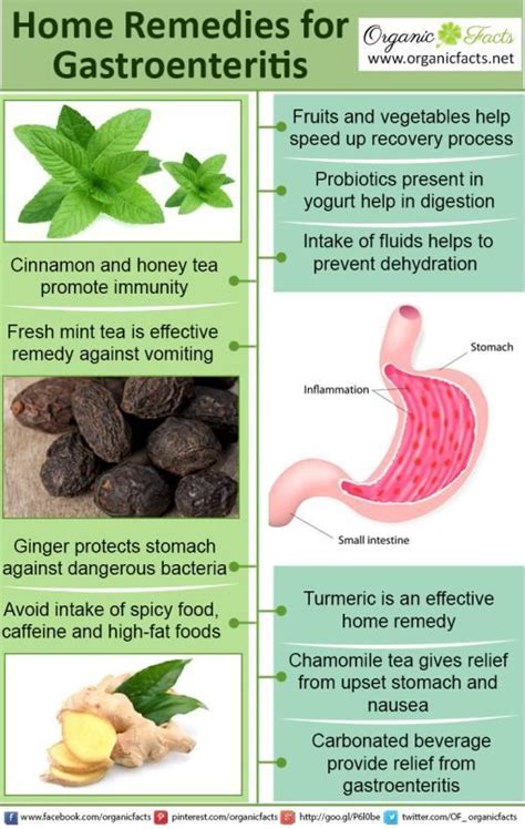 Some Of The Most Effective Home Remedies For Gastroenteritis Include