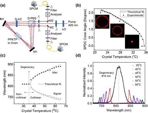 Bright Entangled Photon Source Based On Degenerate Non Collinear