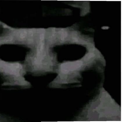 Uncanny cat Blank Template - Imgflip