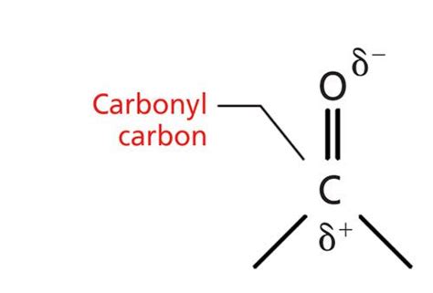 The Carbonyl Group, Part I: Introduction