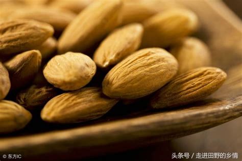 杏仁的功效與作用具有美容 降血糖 降血脂等好處 每日頭條