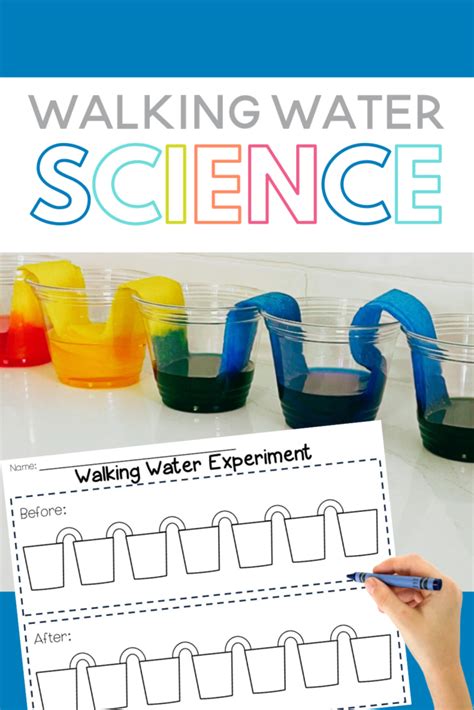 Walking Water Experiment For Kids Sarah Chesworth