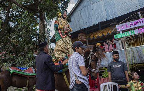 Sayyang Pattuddu Tradisi Kuda Menari Dari Tanah Mandar Sulawesi