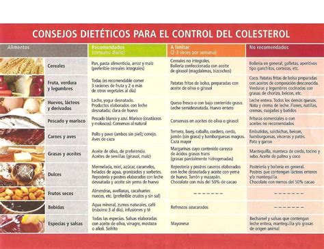 Alimentos Bajar El Colesterol Colesterol